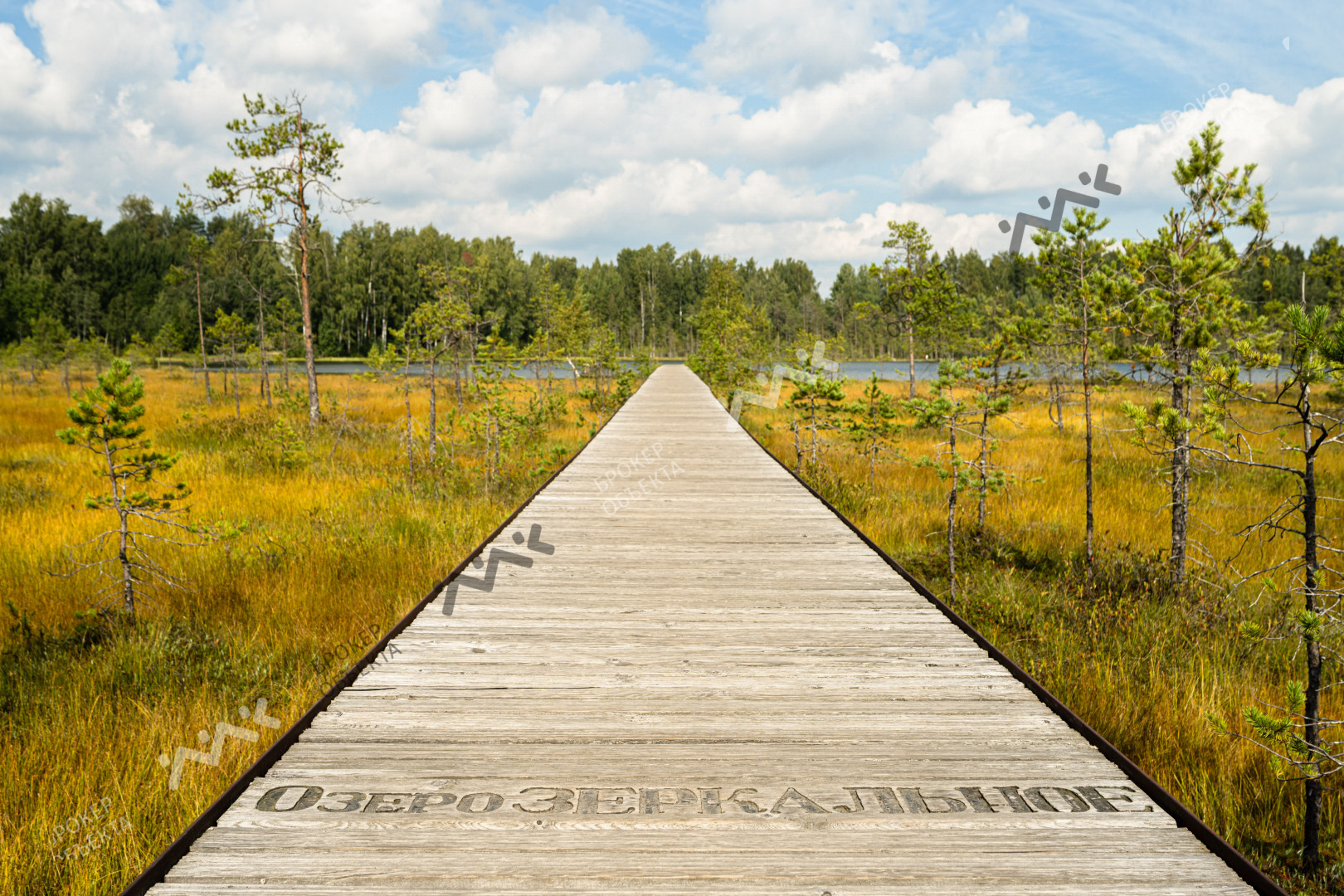 Фото объекта