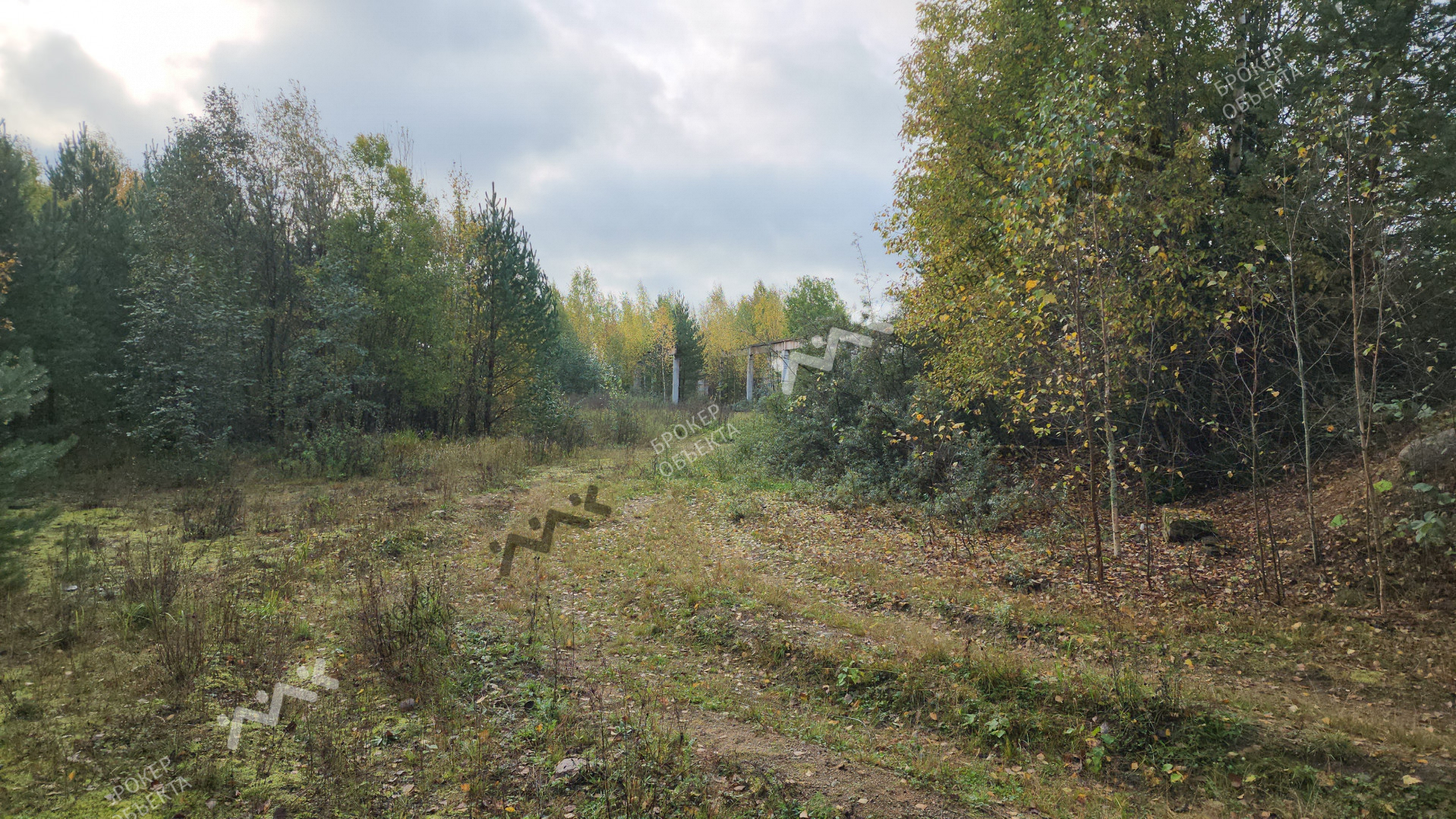 Фото объекта